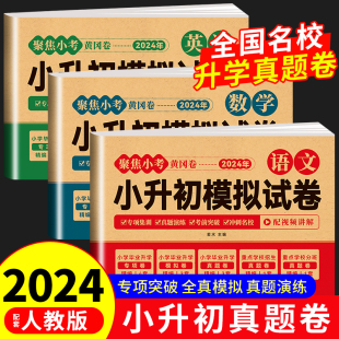 小学毕业升学总复习资料六年级下册试卷测试卷全套练习册名校模拟期末专项训练书卷子 2024年小升初真题卷语文数学英语必刷题人教版