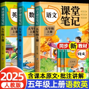 语文数学英语预习同步课本辅导资料书小学5年级上册教材同步解读黄冈学霸课堂笔记全套正版 五年级上册课堂笔记人教版 2025新版