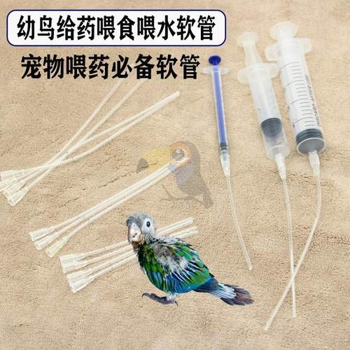 手养鹦鹉BB喂奶器奶粉喂食器