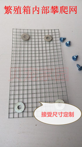 鹦鹉攀爬网/繁殖箱配件/内部攀爬网/爬梯/鸟窝爬梯/虎皮牡丹玄风