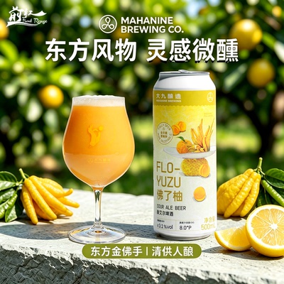 新大九酿造佛了柚酸艾尔全开盖降临浑浊IPA流体果泥精酿啤酒500ml