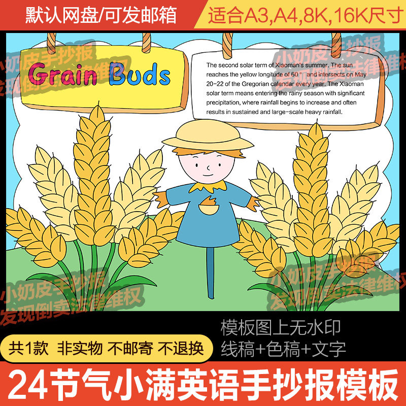 英语英文版24二十四节气小满手抄报模板小报电子版空白黑线稿涂色