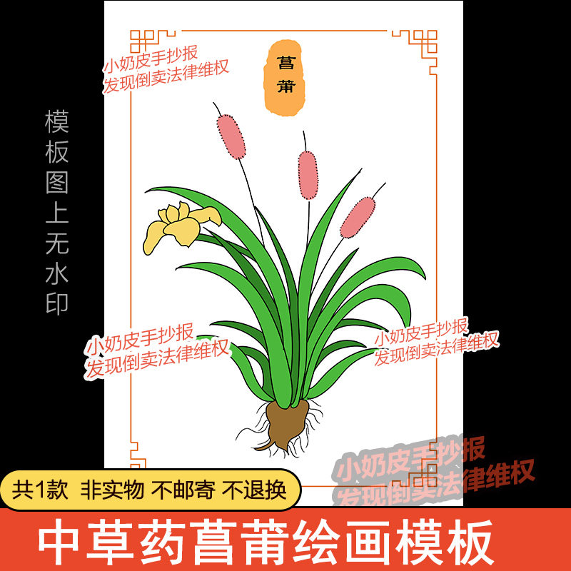 中国神奇的中草药菖莆主题画漫画绘画黑线稿电子版自制卡片涂色