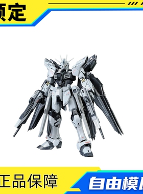 全款预售 第三批 PB 万代模型 RG 1/144 强袭自由高达 未启动模式