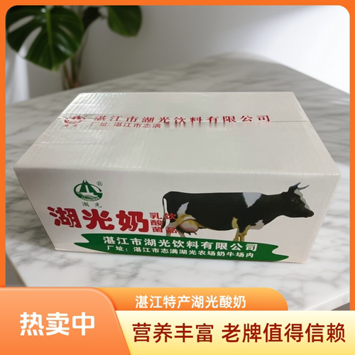 湛江特产湖光酸奶乳酸菌饮料早餐