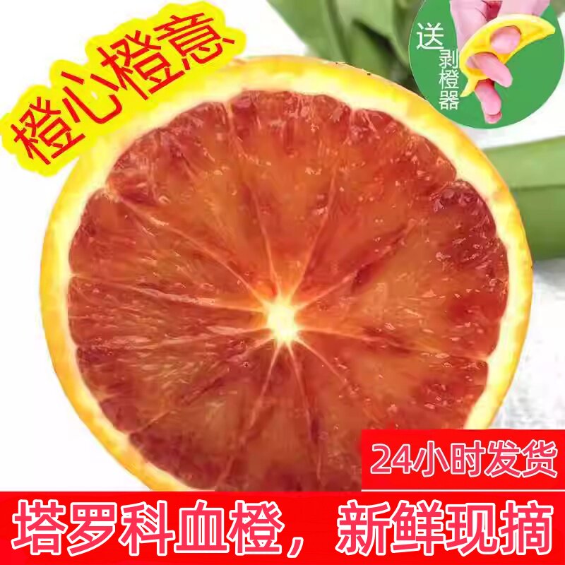 当季现摘现发正宗重庆塔罗科血橙血丝橙正宗新鲜水果橙子整箱包邮