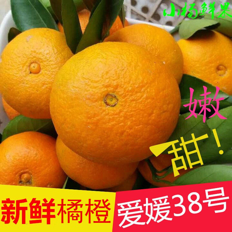 正宗现摘现发爱媛38号果冻橙手剥橙新鲜应季水果橙子整箱包邮,水产肉类/新鲜蔬果/熟食,橙,淘宝优惠券,粉丝福利购,淘宝优惠卷