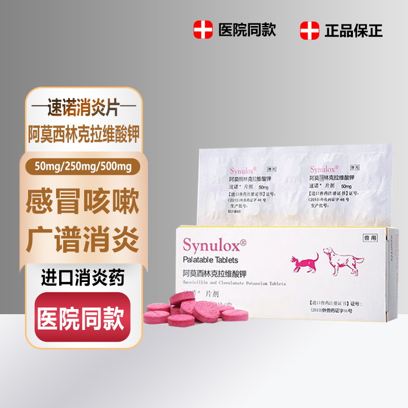 速诺消炎片猫鼻支猫咪感冒消炎药