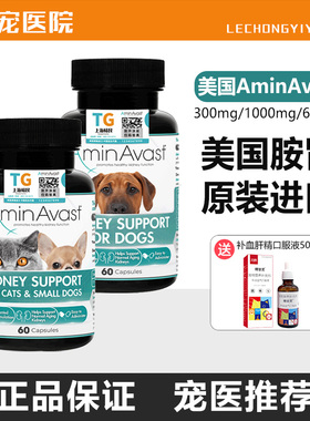 美国胺肾Aminavast狗肾脏降磷猫狗肾犬肾透活肾犬猫用护肾脏支持