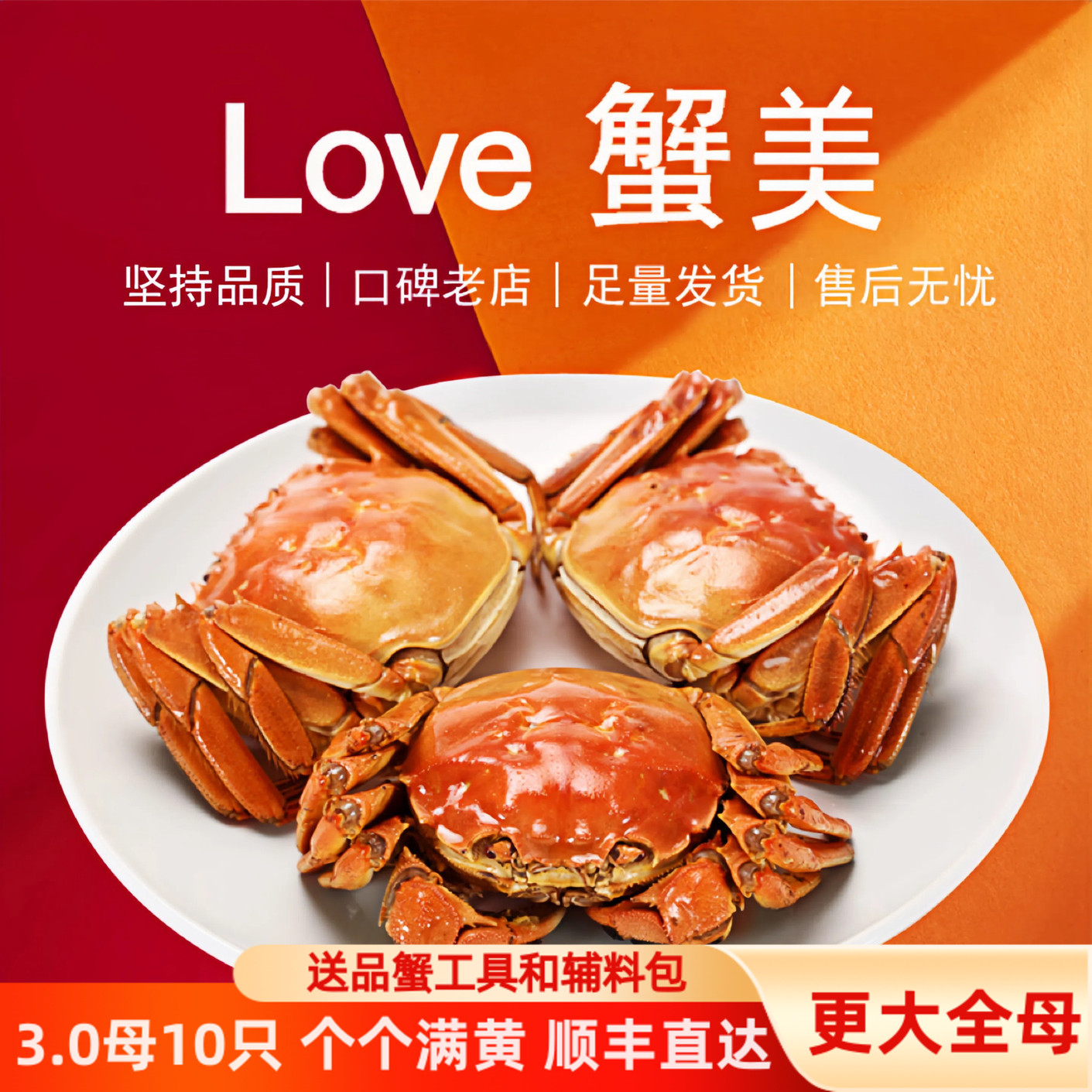 蟹小吴10只大闸蟹3两全母蟹