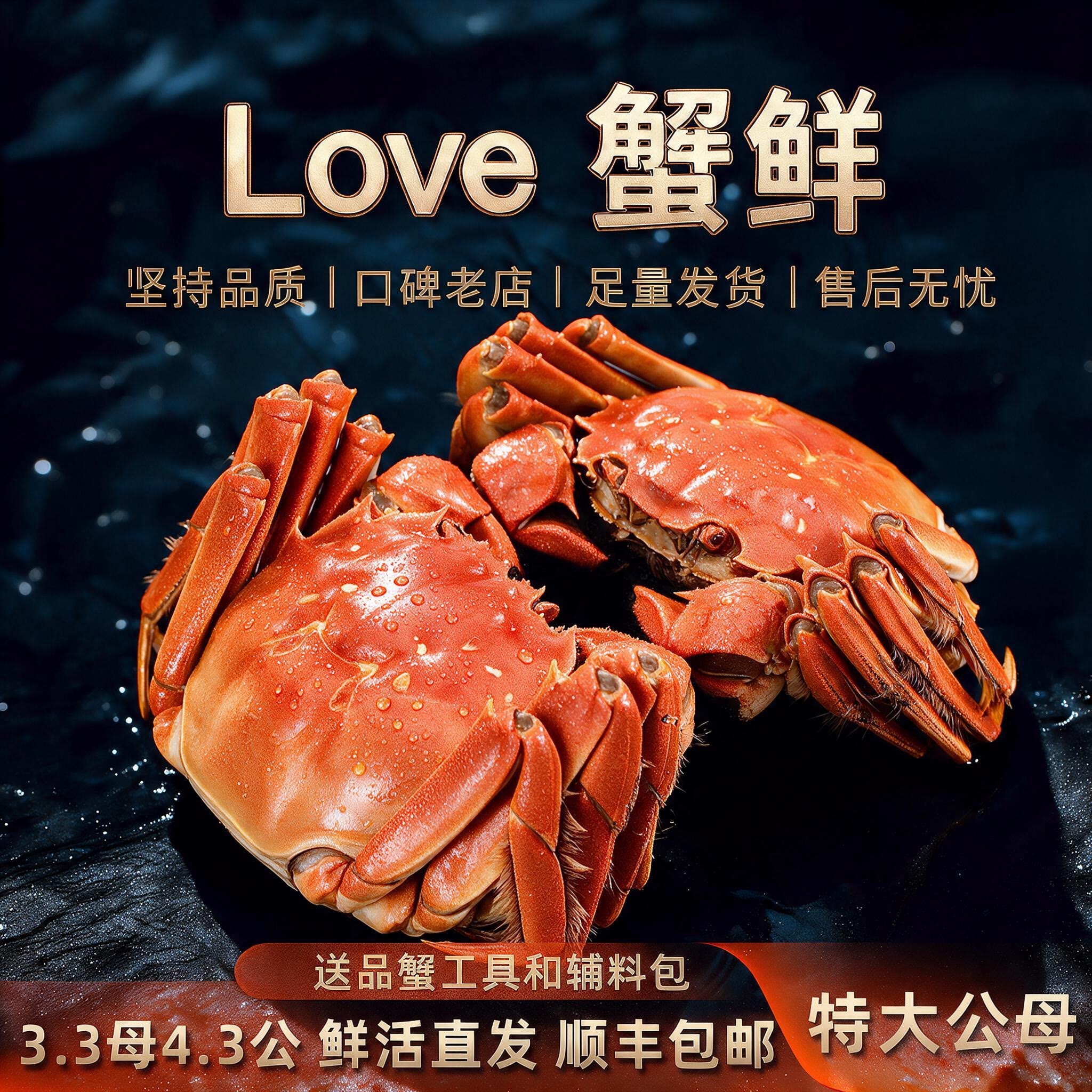 现货大闸蟹母3.3两公4.3两