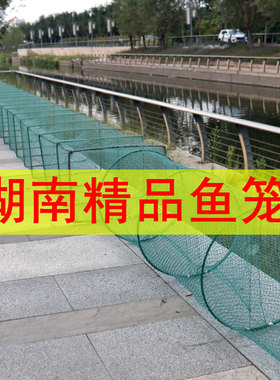 湖南鱼笼大鱼网有结网龙虾网笼螃蟹笼自动捕鱼笼折叠加密黄鳝笼子