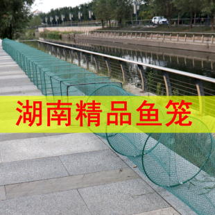 湖南鱼笼大鱼网有结网龙虾网笼螃蟹笼自动捕鱼笼折叠加密黄鳝笼子