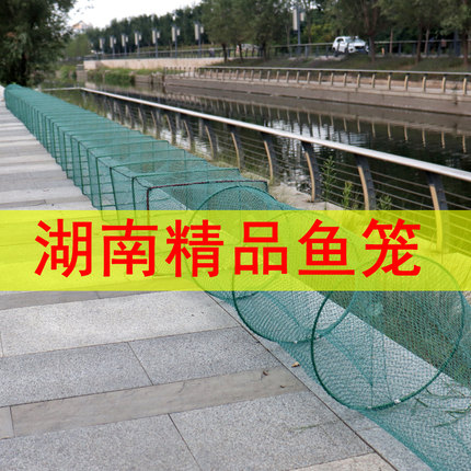 湖南鱼笼大鱼网有结网龙虾网笼螃蟹笼自动捕鱼笼折叠加密黄鳝笼子