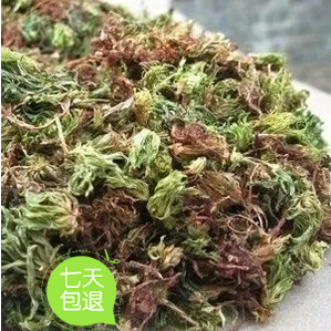 回心草 茴心草 茴薪草 铁脚一把伞 岩谷伞 新货上市 500克