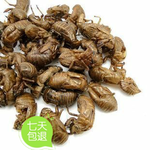 中药材 蝉蜕.金蝉花 虫蜕.知了皮.蝉衣.特价250克 水洗蝉蜕满包邮