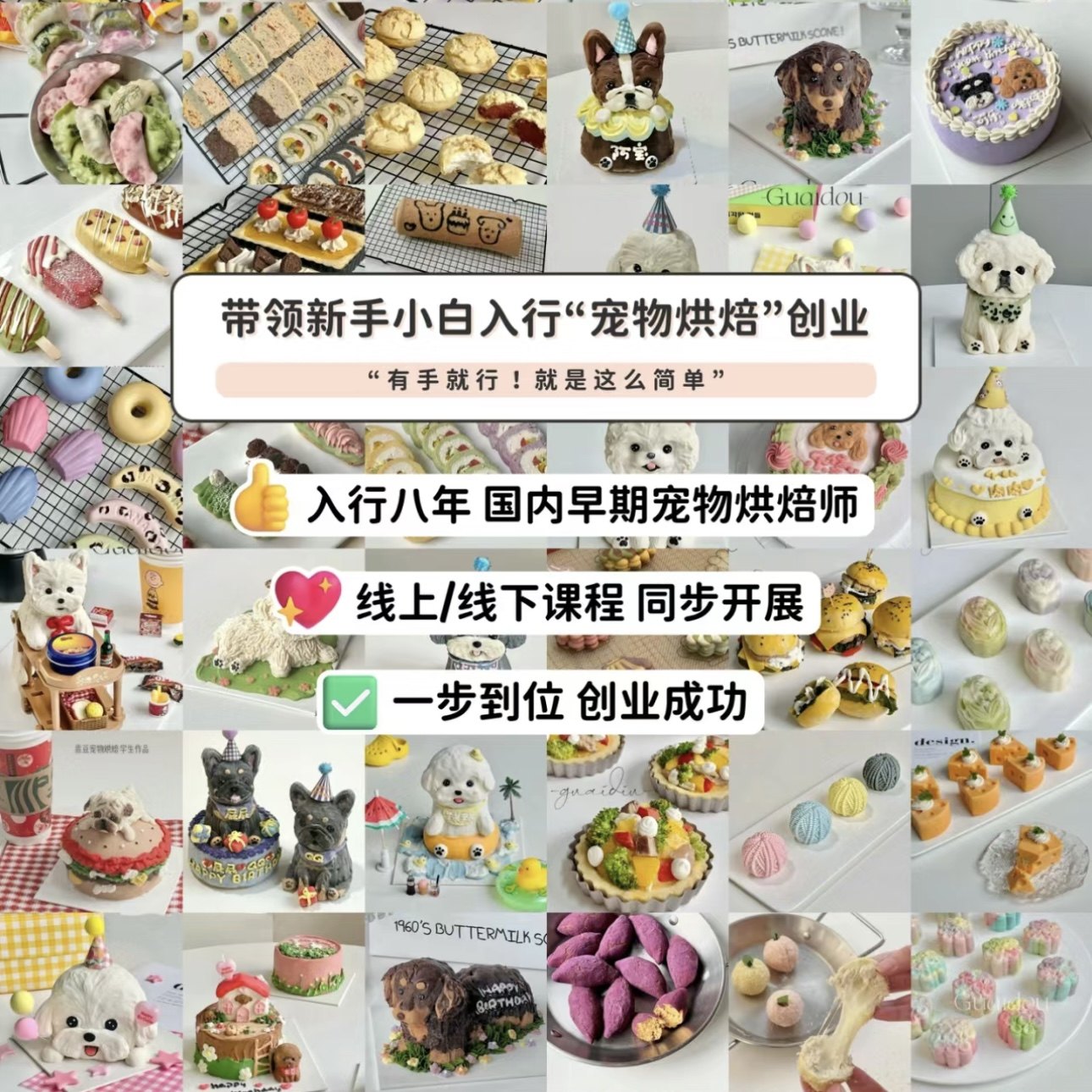 乖豆家宠物蛋糕培训 重庆狗狗猫猫宠物烘培课程