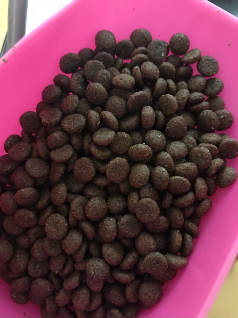 Kayla Ma Ma self-control Kailari Dog food 500 gramin the Pet/Pet food and supplies , Dog snacks  category - from Buy2taobao.com to provide professional Taobao agent buy service