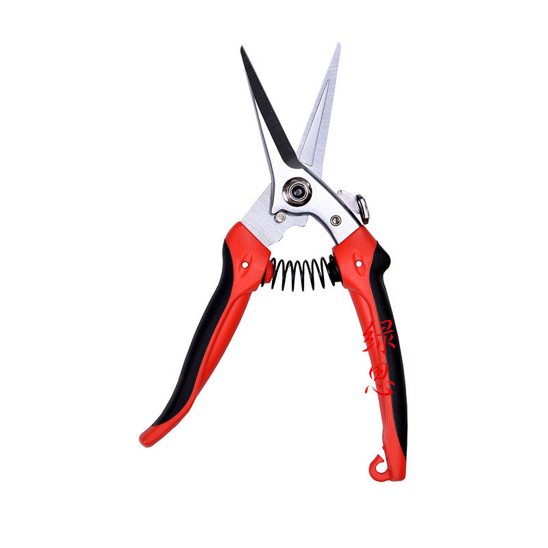 -修枝剪摘果神器剪枝原装-782尖嘴修枝果树剪-花剪刀