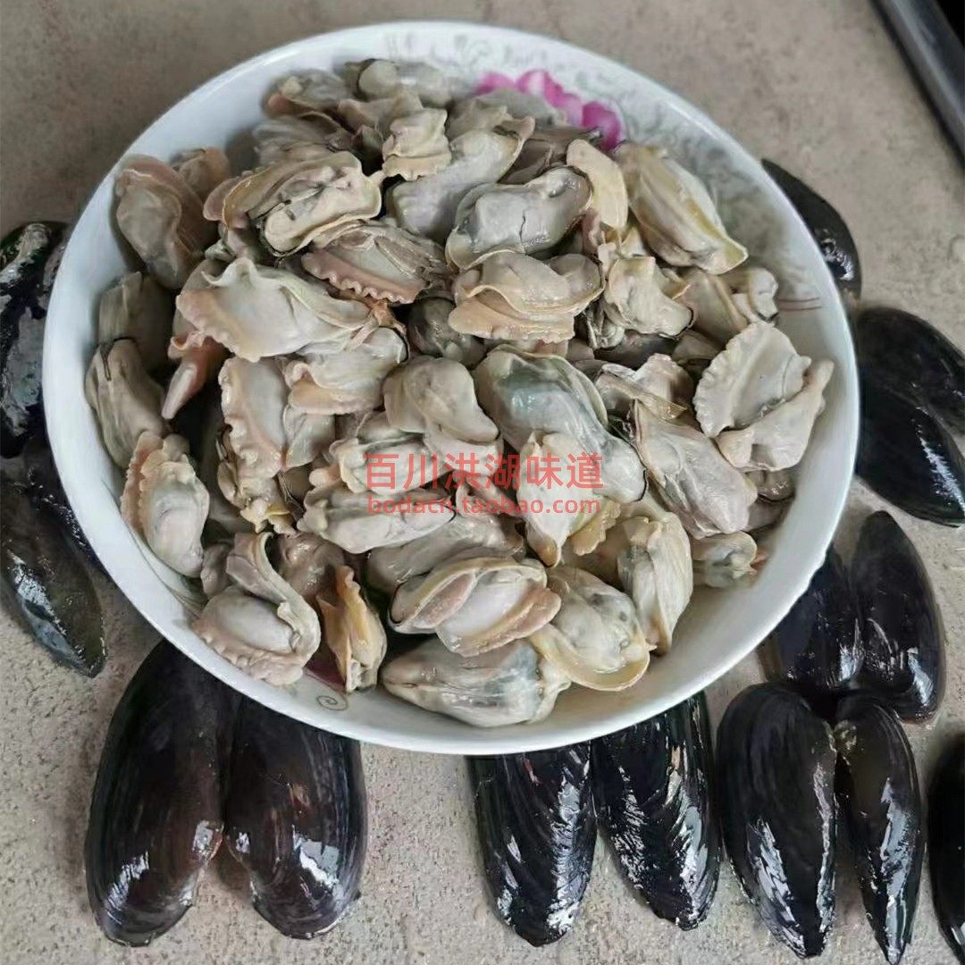 湖北洪湖鲜活新鲜河蚌憨子肉农家特色无盐淡水大蚌背壳肉去壳净肉
