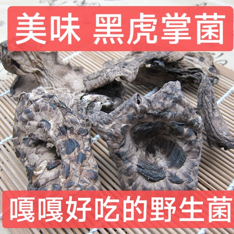 东北特产高山虎掌菌獐子菌黑虎掌菌干货虎掌菌干老虎掌菌100g包邮