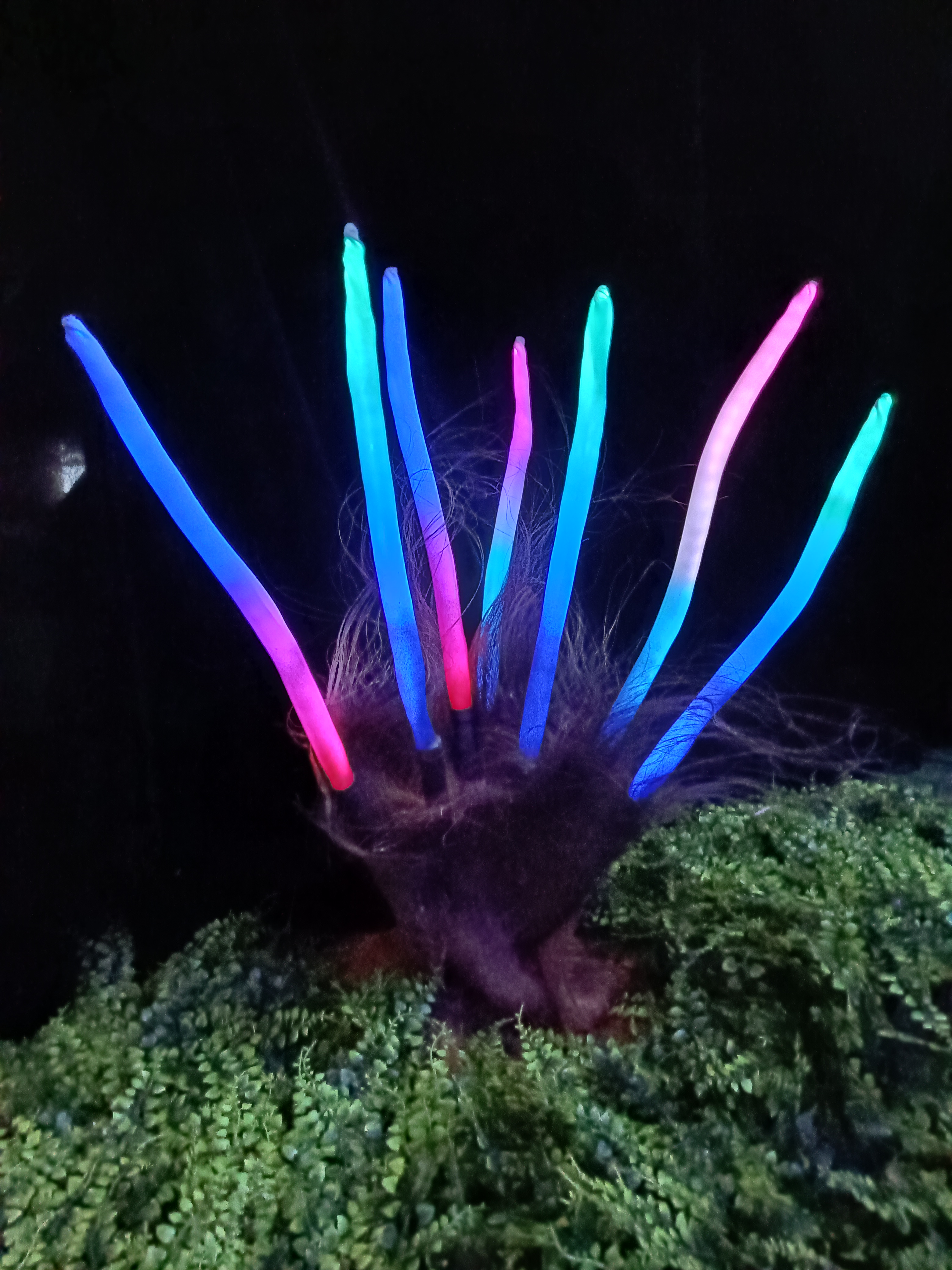 0.9米梦幻彩色九尾狐发光草