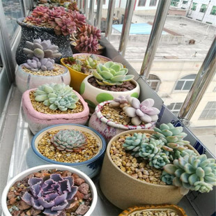 厨房灶台垫板，防盗网垫板。白色环保塑料板，塑料板，PP塑料板