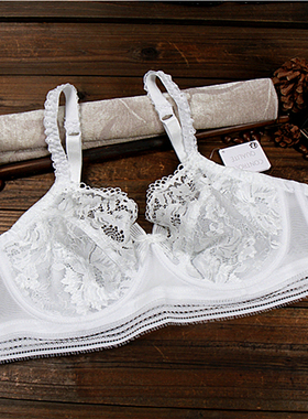 C10法国原单白色性感透明女内衣诱惑蕾丝超薄款全罩杯文胸85BC95D