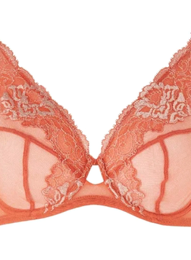 C4 大码女内衣透明诱惑超薄款网纱刺绣上托聚拢文胸75DE75FGHI80F