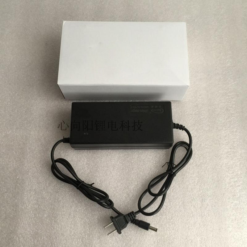 12v24v36v48v电动车充电器