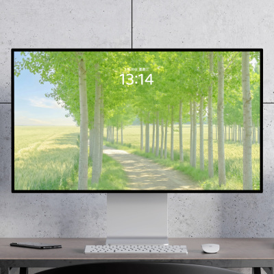 梧桐树小道 清新治愈 夏天清凉绿色电脑mac手机ipad壁纸watch壁纸