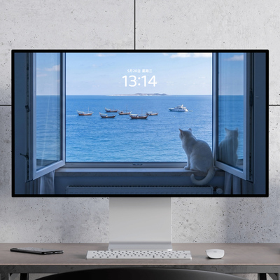 望海的小猫  浪漫治愈夏天清凉大海电脑mac手机ipad壁纸watch壁纸