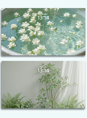【2张】清新绿 绿色护眼 治愈鲜花 电脑mac手机ipad壁纸watch壁纸