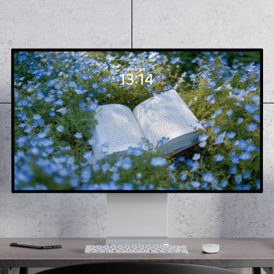 花丛中的书 清新浪漫治愈 春天 电脑mac手机ipad壁纸watch壁纸