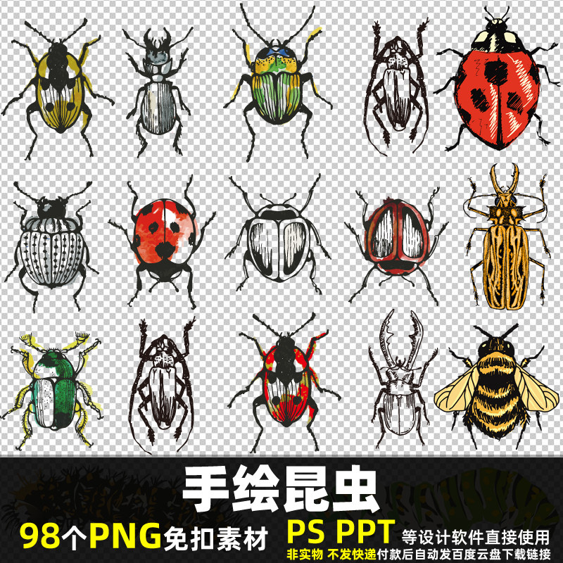 手绘昆虫png免抠背景素材psd卡通蟑螂屎壳郎甲壳虫小动物图片打印