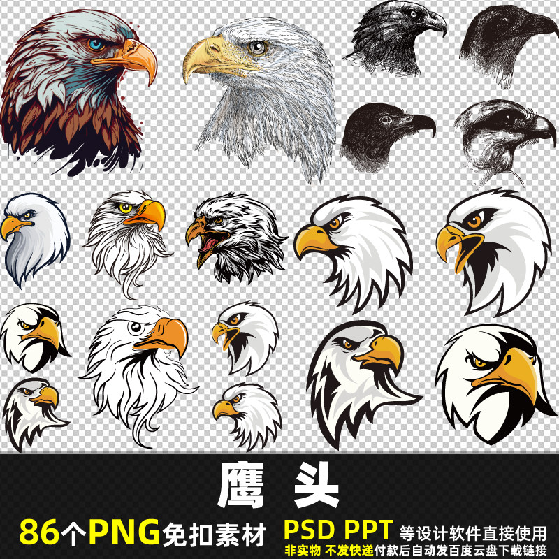 鹰头png免扣背景素材 psd 卡通鸟类动物老鹰小鹰头像高清图片打印
