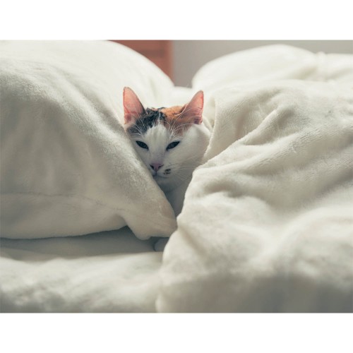 外贸出口日单秋冬款被套