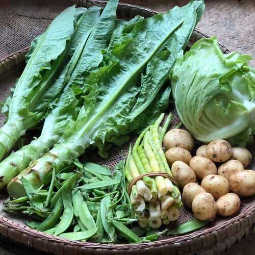 农家小菜新鲜时令蔬菜