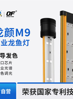 仟湖红龙专用灯增艳灯鱼