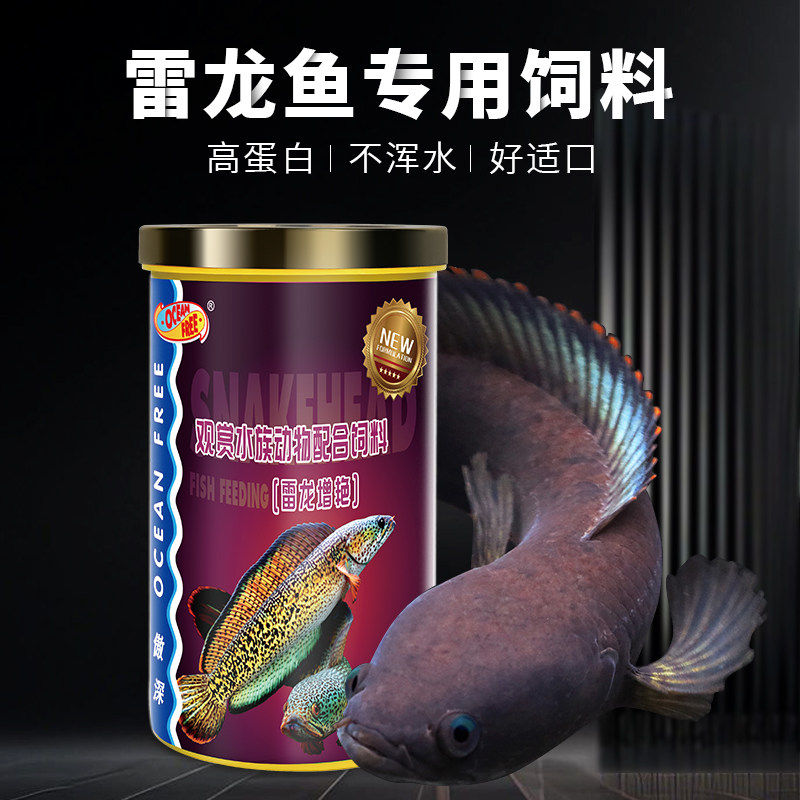 OF仟湖电龙鱼观赏鱼饲料
