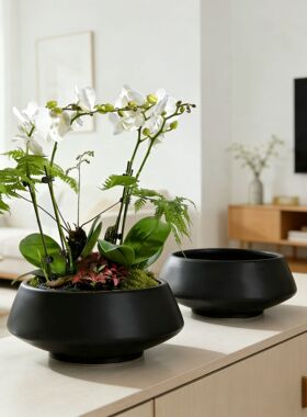 新中式仿真花绿植容器陶瓷花盆蝴蝶兰专用家居软装花盆工艺品摆件