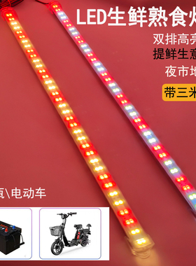 LED电动三轮车电瓶摆摊灯条生鲜灯管熟食卤菜鸭脖水果12V48V60V72