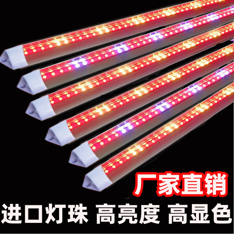 220V冷藏保鲜展示柜led点菜柜图片