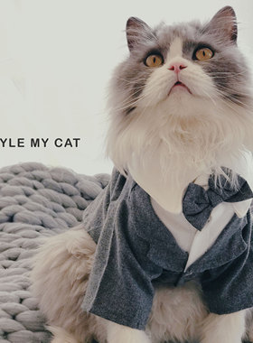 MrDarcy宠物领结英式西装仿掉毛布偶无毛猫泰迪衣服送礼小红书