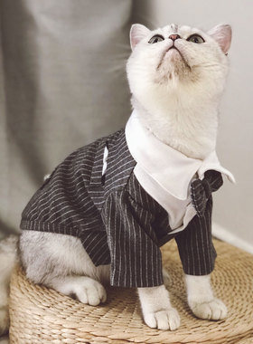 William猫咪衣服西装新款礼物宠物礼服布偶小型犬婚礼西服秋冬