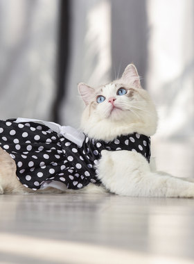 猫咪衣服公主Audrey新款2023礼物宠物复古波点裙布偶无毛猫泰迪