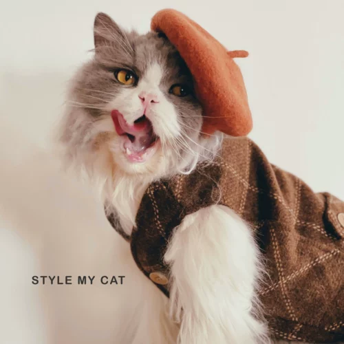 Шерстяной демисезонный удерживающий тепло жилет, пиджак классического кроя без рукавов, бюстгальтер-топ