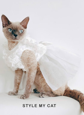 猫咪衣服公主Cinderella白纱新款礼物布偶无毛猫泰迪宠物婚纱礼服