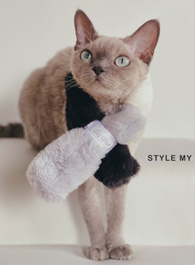 猫咪围巾Narnia软糯毛绒保暖小红书秋冬温暖宠物德文无毛猫围脖