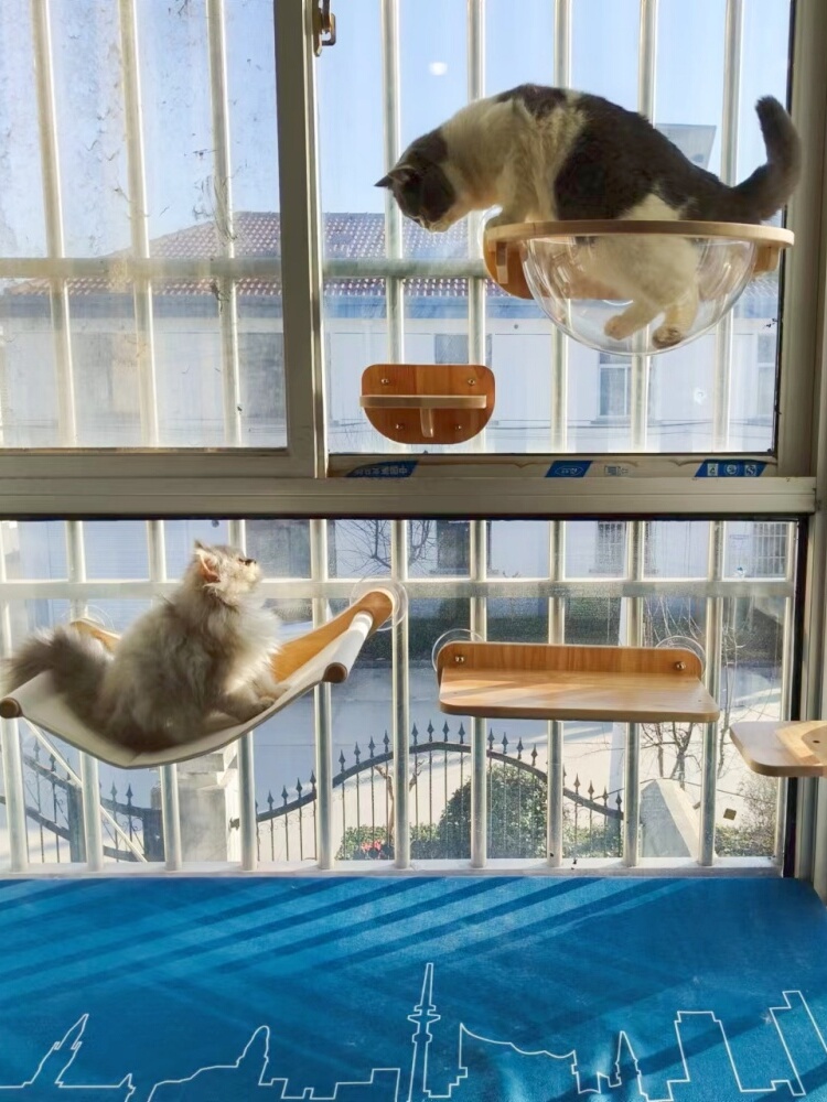 实木飘窗阳台玻璃吸盘上墙免打孔墙壁式太空舱跳台猫窝跳板猫爬架